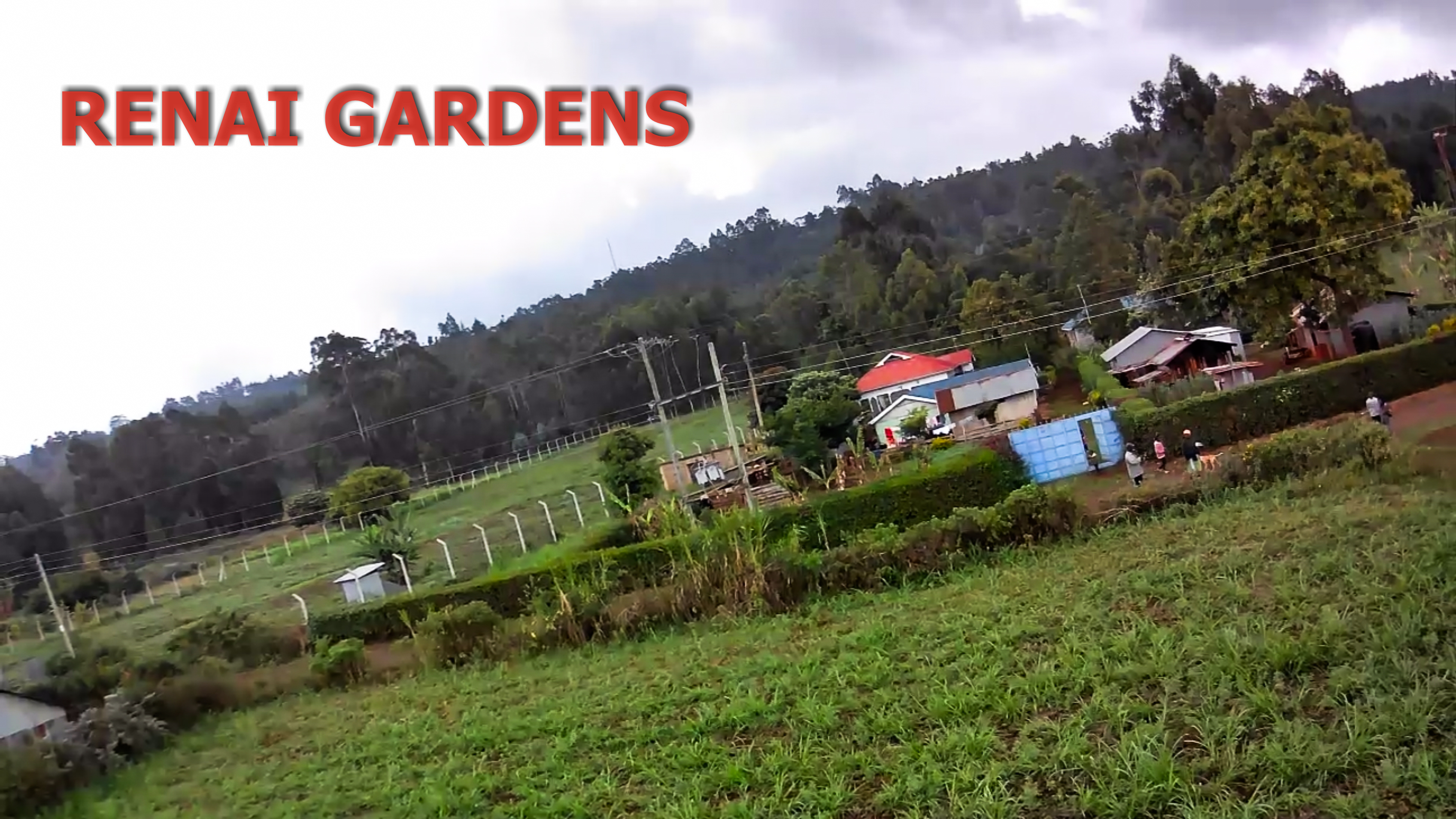Renai Gardens – Rironi